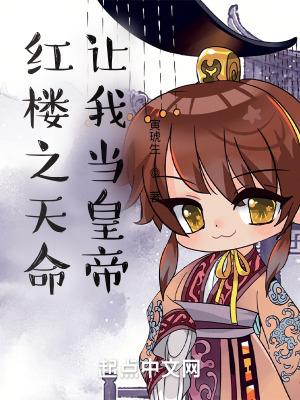 红楼之天命皇子