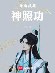 开局获得神照功笔趣阁txt