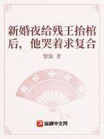 新婚夜给残王抬棺后