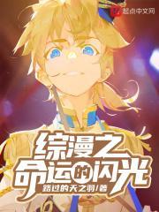 综漫之命运的闪光 天之鸿凌之羽