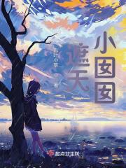 遮天小囡囡送给叶凡的石头是什么