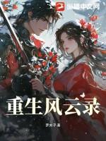 重生之风云录