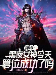 神印黑夜女神今天篡位成功了吗_