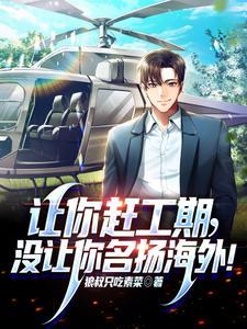 没让你名扬海外!TXT