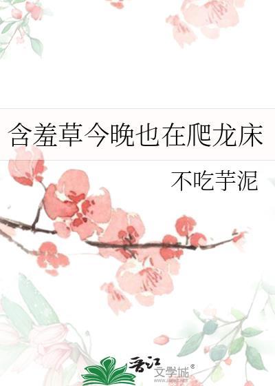 含羞草晚上合起来
