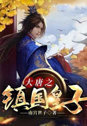 穿越大唐之镇国侯