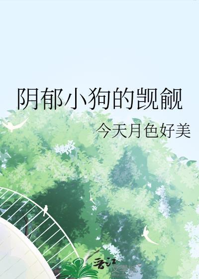 阴郁小狗的收获