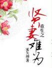 重生之贤妻难为免费阅读
