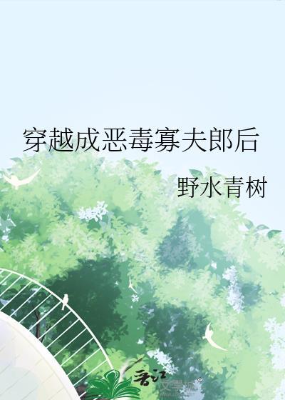 穿越成恶毒寡夫郎后txt