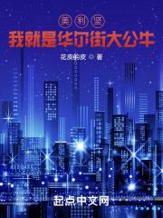 美利坚我就是华尔街大公牛免费