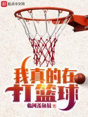 我真的在打篮球有声