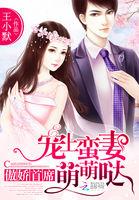 宠妻上天傲娇总裁很放肆