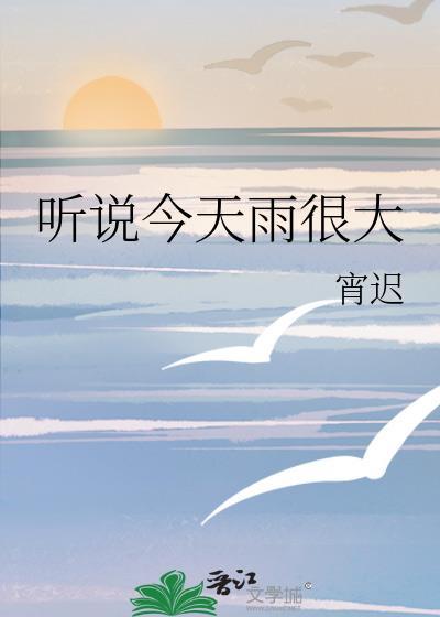 听说今天雨很大txt
