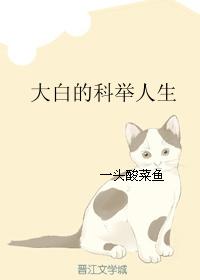 大白的科举人生 轻云上