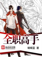 全职高手TXT
