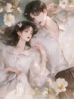 妻子第99次提离婚后全文