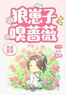 狼崽子在线阅读