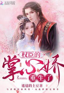 权臣的掌心娇宠