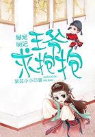 爆宠小萌妃王爷太专情