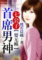 七公子2首席他总耍赖免费