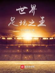 世界足坛之王TXT