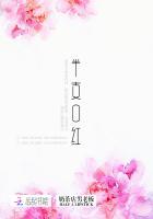 半支口红txt百度