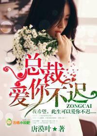 总裁爱你不迟全文免费