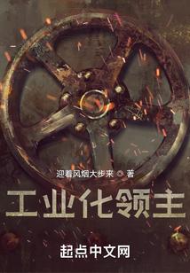 工业化领主TXT百度