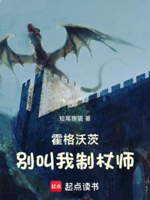 霍格沃茨别叫我制杖师