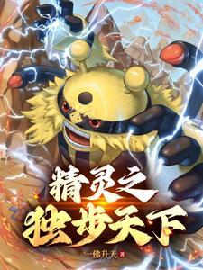 精灵宝可梦成神