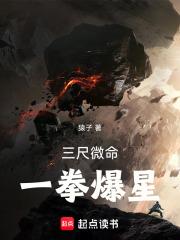 一拳爆星TXT