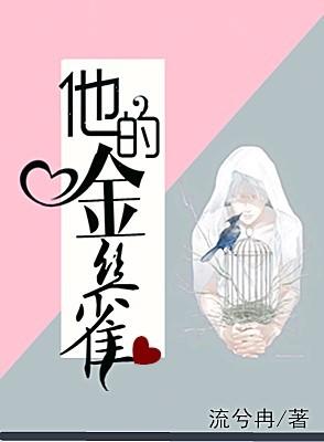 他的金丝雀全文在线阅读