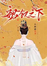 裙钗之下讲的什么