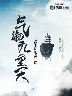气御九天介绍