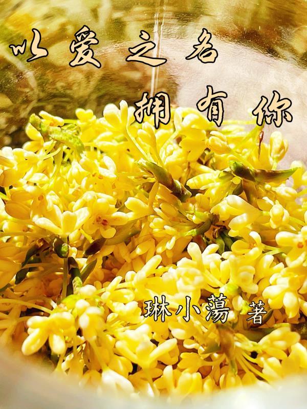 以爱之名你还记得吗