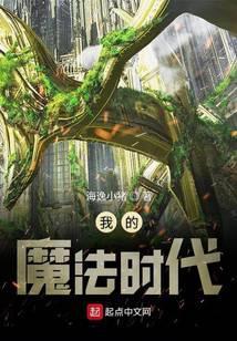 我的魔法时代TXT免费