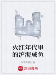 火红年代里的沪海咸鱼无防盗