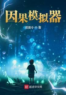 我的因果模拟器TXT