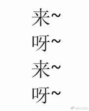 电脑病毒崽崽两岁半 小豹砸