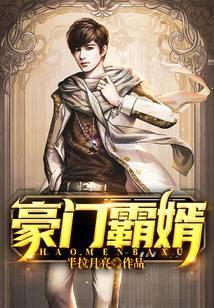 豪门霸婿免费阅读