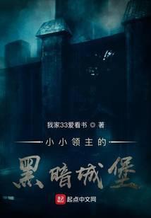 小小领主破解版