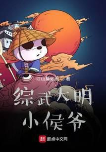 综武大明小侯爷TXT