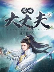 龙婿大丈夫2百度百科