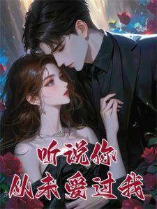 从没听你说过我爱你