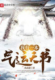 我有一本气运天书无错字