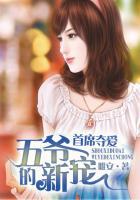 五爷的新宠四哥是坏人吗