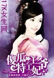 傻瓜王爷穿越妃全文免费阅读