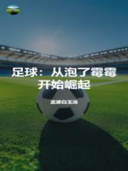 从足球流氓到崛起