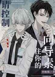 请控制住你的向导素全文阅读