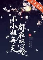 小小姐每天都在恐婚番外宝书网